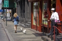 NY 2008 Fille aux chiens S 